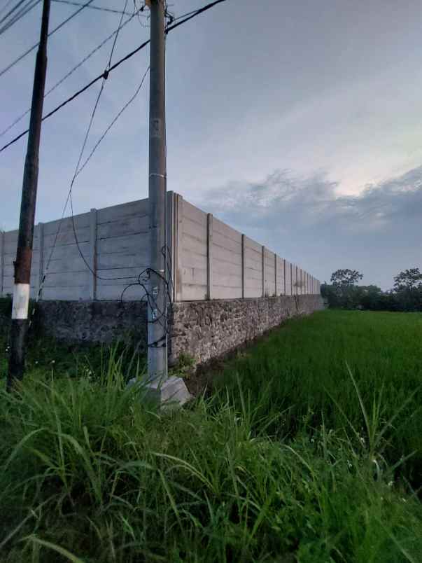 dijual tanah margorejo centong gondang