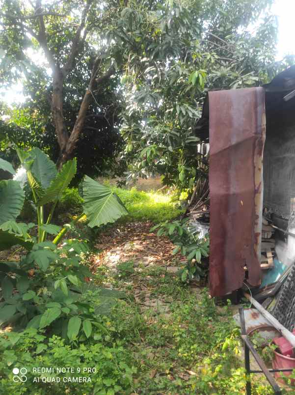 dijual tanah menangan