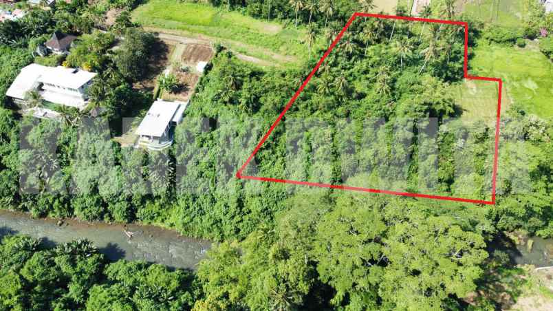 dijual tanah murah los sungai lodtunduh ubud
