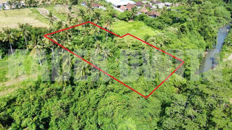 dijual tanah murah los sungai lodtunduh ubud