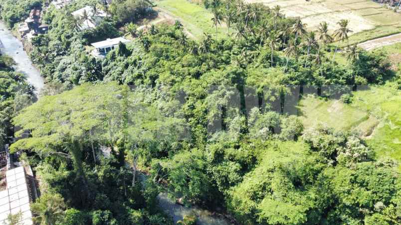 dijual tanah murah los sungai lodtunduh ubud