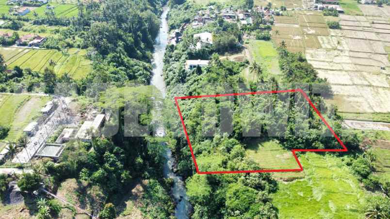 dijual tanah murah los sungai lodtunduh ubud