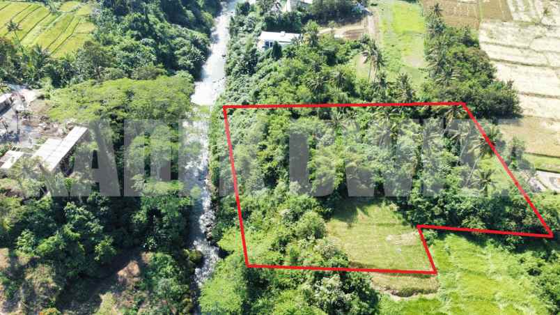 dijual tanah murah los sungai lodtunduh ubud