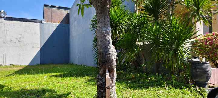 dijual tanah pakuwon city san diego