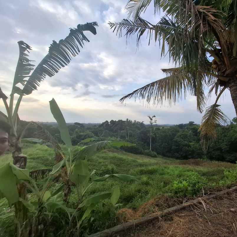 dijual tanah pantai kelencung