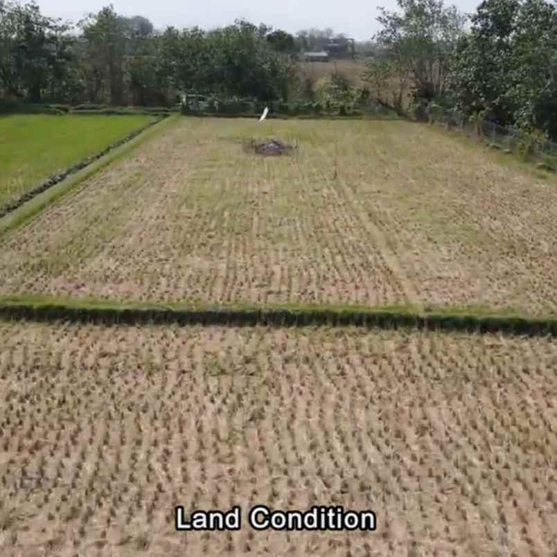 dijual tanah pantai nyanyi