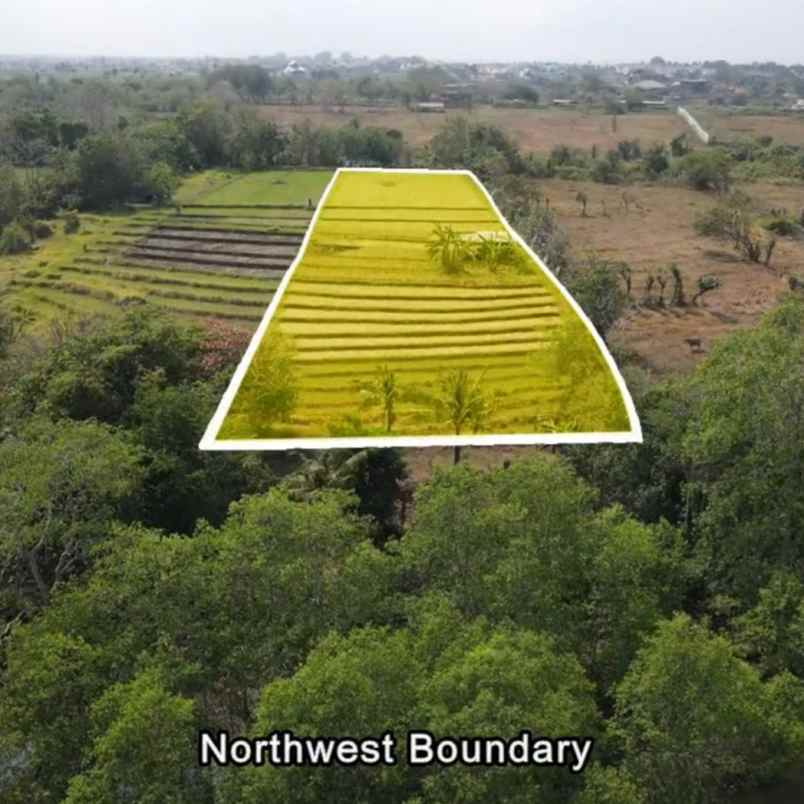 dijual tanah pantai nyanyi