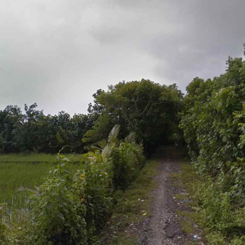 dijual tanah pantai nyanyi