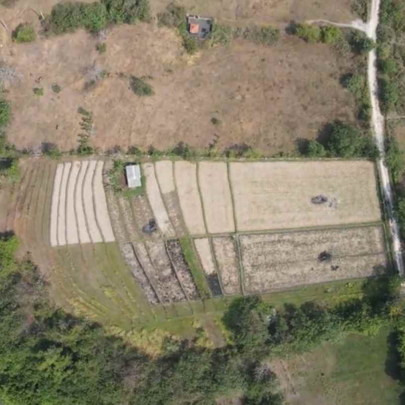 dijual tanah pantai nyanyi