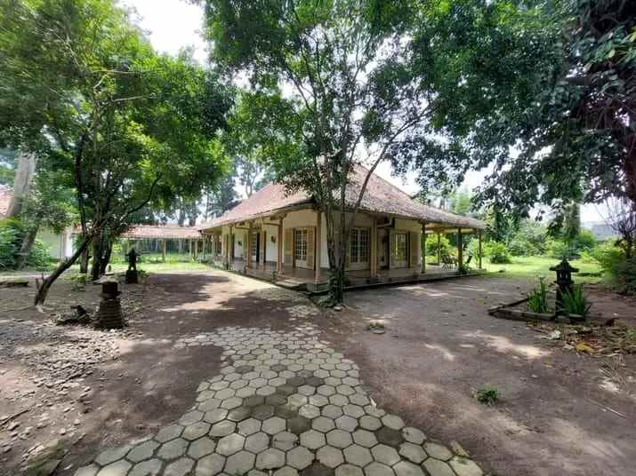 dijual tanah pogung pandega marta