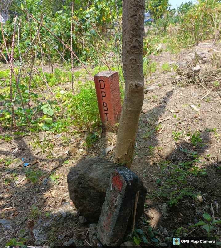 dijual tanah radial citraland