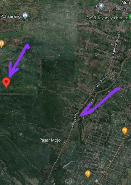 dijual tanah raya mojo