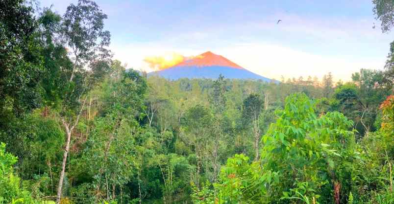 dijual tanah rendang karangasem bali