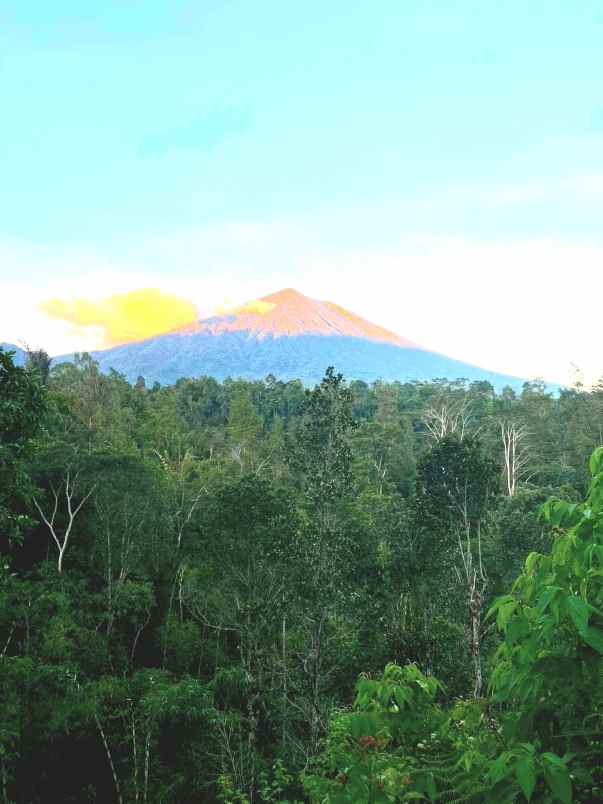 dijual tanah rendang karangasem bali