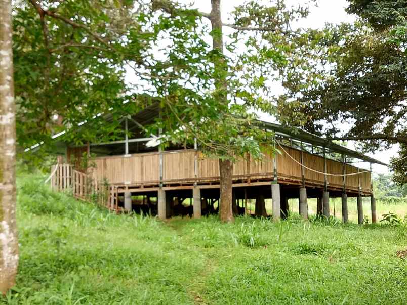 dijual tanah selawangi tanjungsari bogor