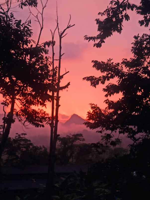 dijual tanah selawangi tanjungsari bogor