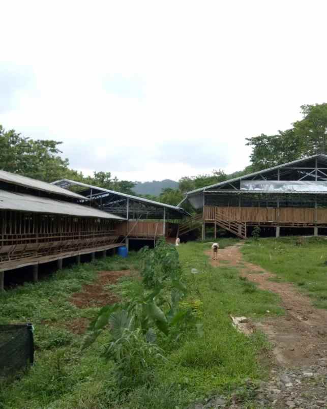 dijual tanah selawangi tanjungsari bogor