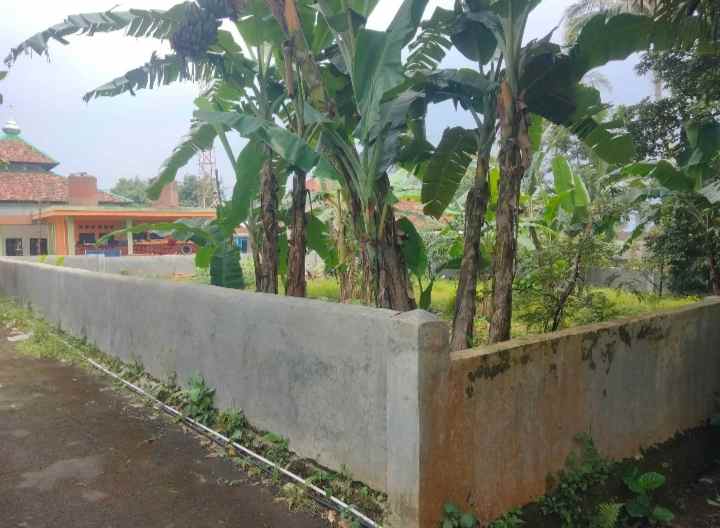 dijual tanah setia negara kec cilimus