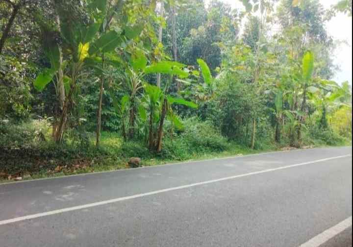 dijual tanah strategis pinggir jalan raya