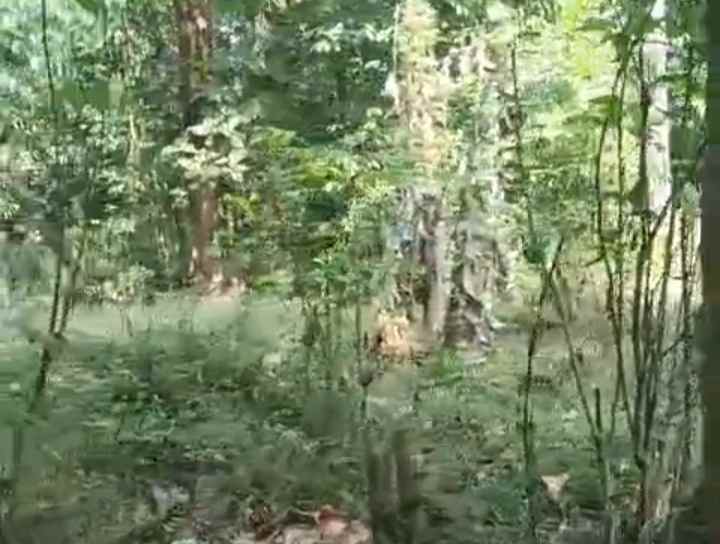 dijual tanah strategis pinggir jalan raya