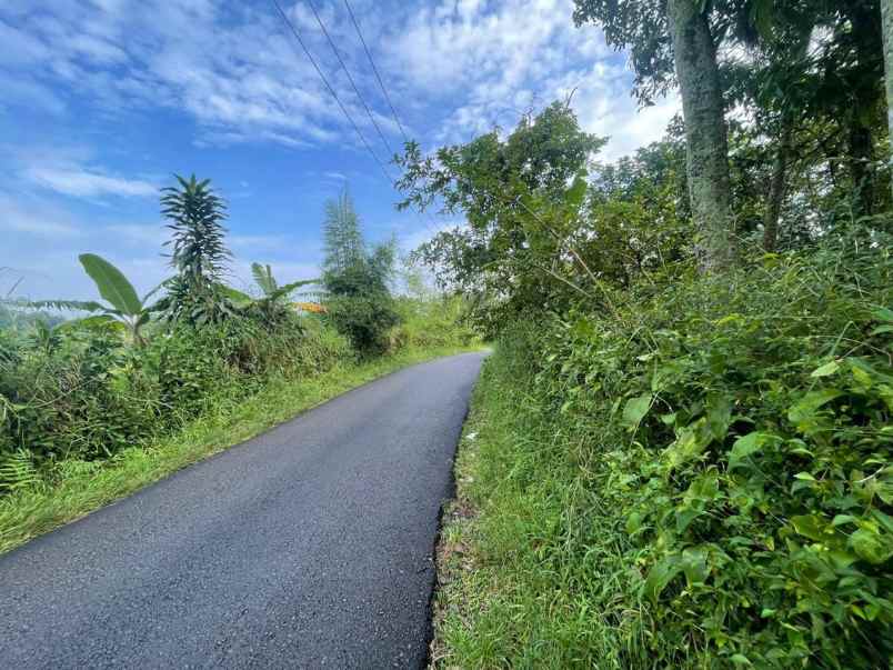 dijual tanah subang