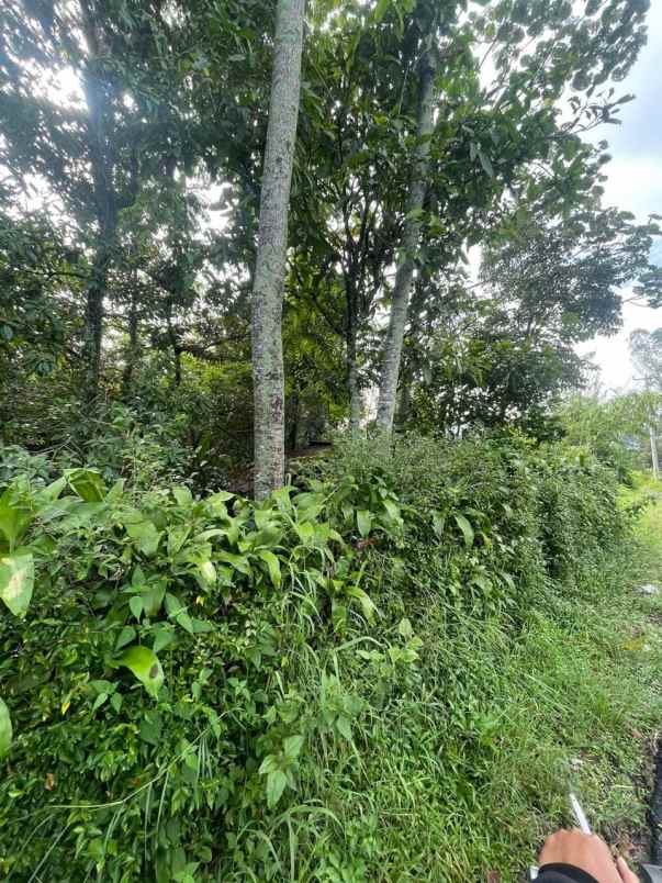 dijual tanah subang