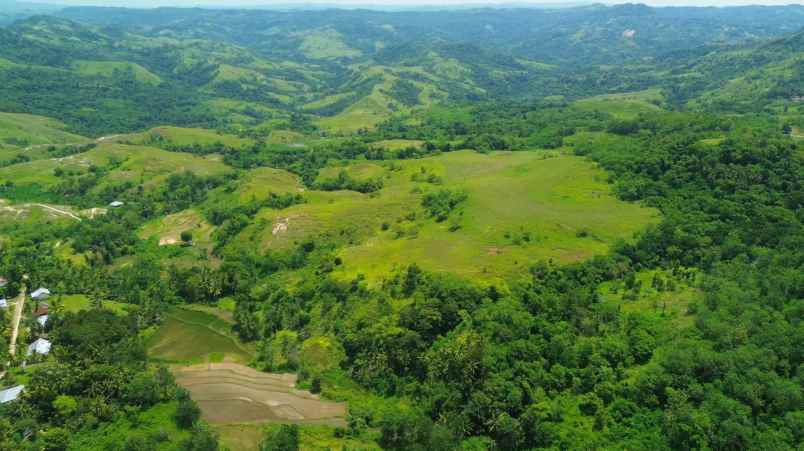 dijual tanah sumba barat