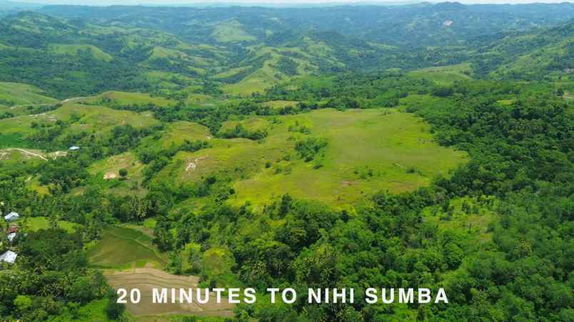 dijual tanah sumba barat