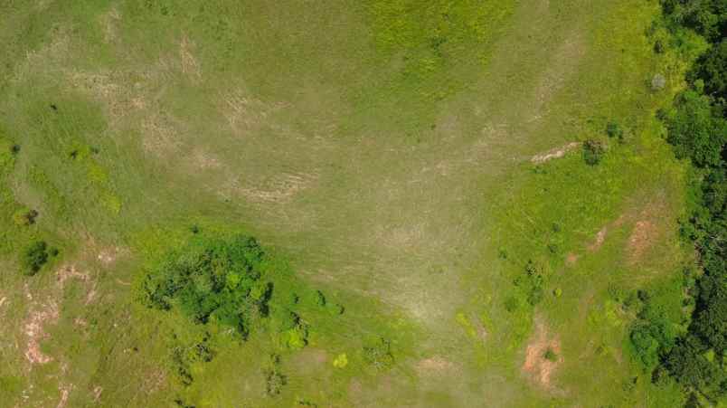 dijual tanah sumba barat