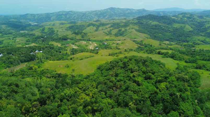 dijual tanah sumba barat