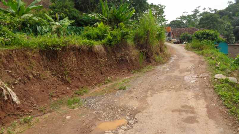 dijual tanah tanah di gg seroja desa