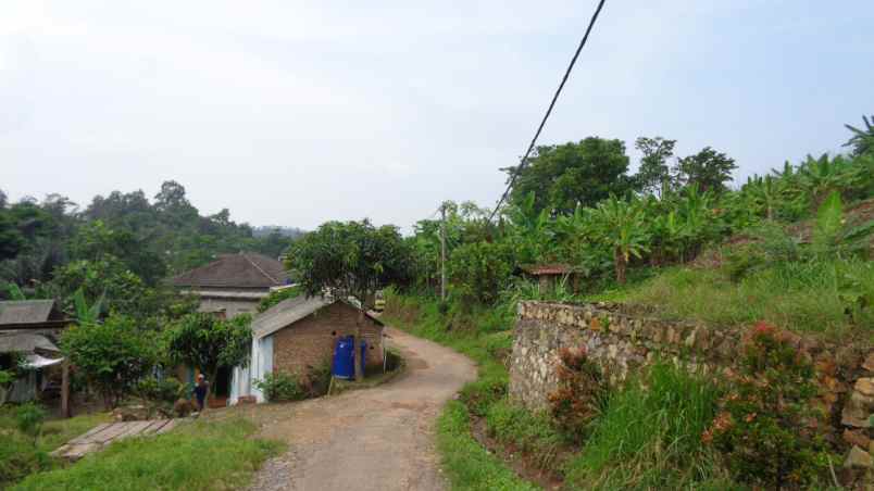 dijual tanah tanah di gg seroja desa