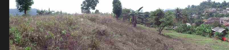 dijual tanah tanah di gg seroja desa