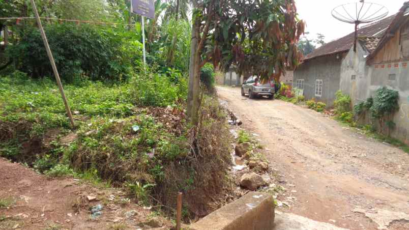 dijual tanah tanah di gg seroja desa