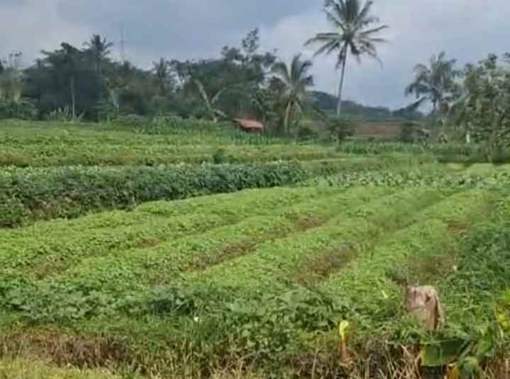 dijual tanah view gunung pinggir jl sangat strategis