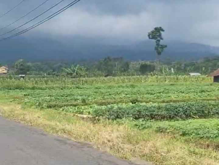 dijual tanah view gunung pinggir jl sangat strategis