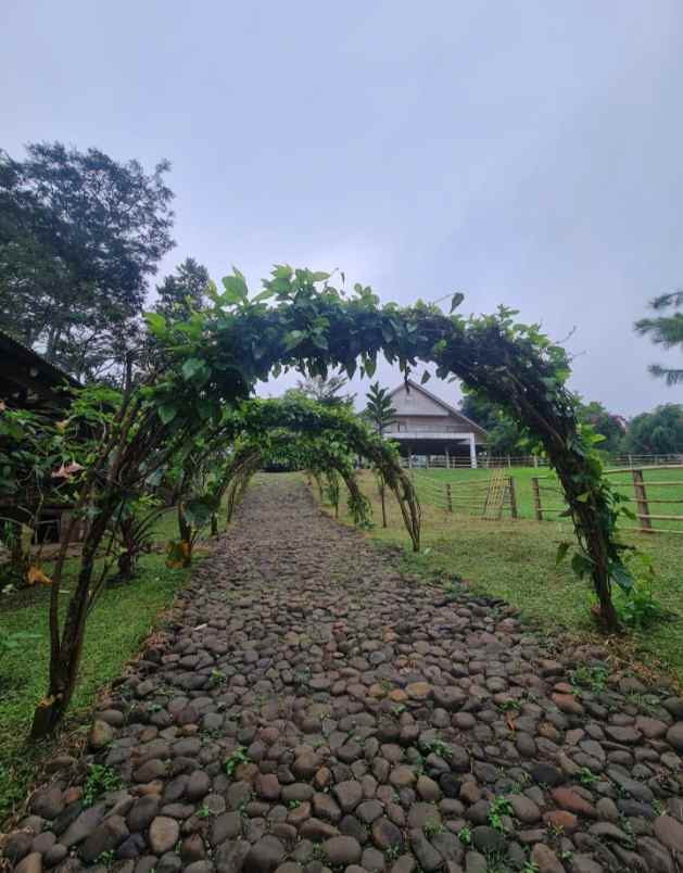 dijual villa margahurip