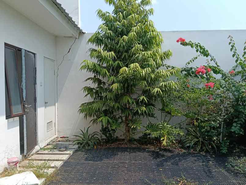 disewakan rumah cluster shinano jakarta