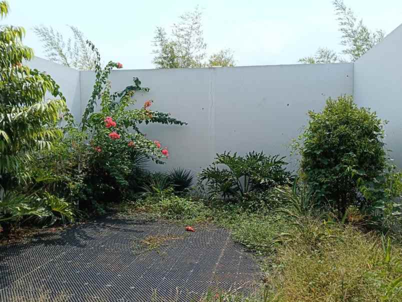 disewakan rumah cluster shinano jakarta