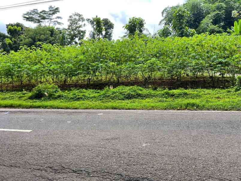 jual tanah strategis buka usaha mojogedang karanganyar