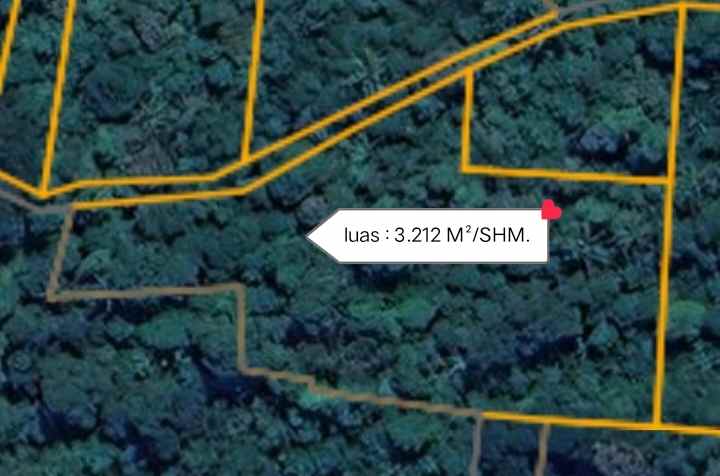kebun manggis 100 pohon subang jawa barat