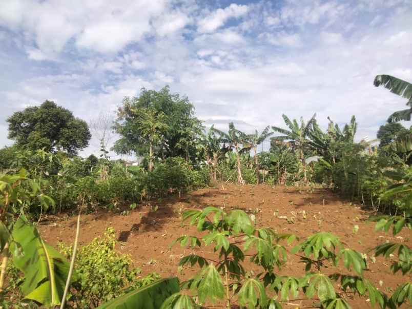 lahan strategis murah di cikereteg caringin bogor
