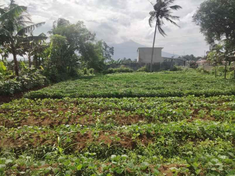lahan strategis murah di cikereteg caringin bogor