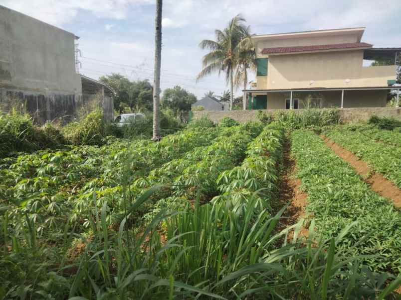 lahan strategis murah di cikereteg caringin bogor