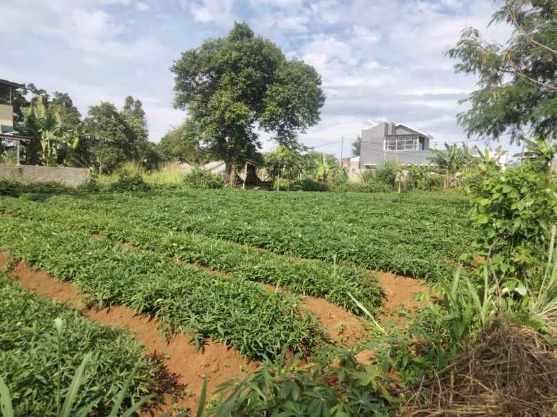 lahan strategis murah di cikereteg caringin bogor