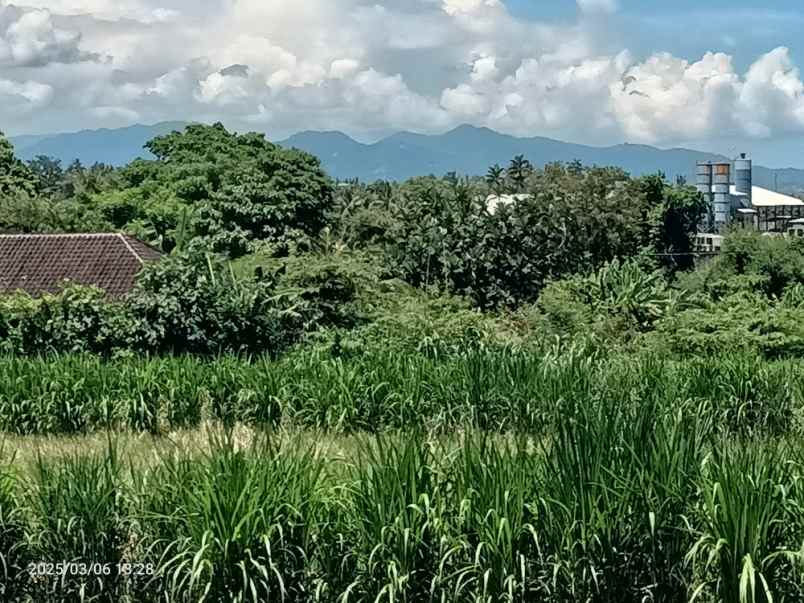 land for leasehold close komune beach club bali