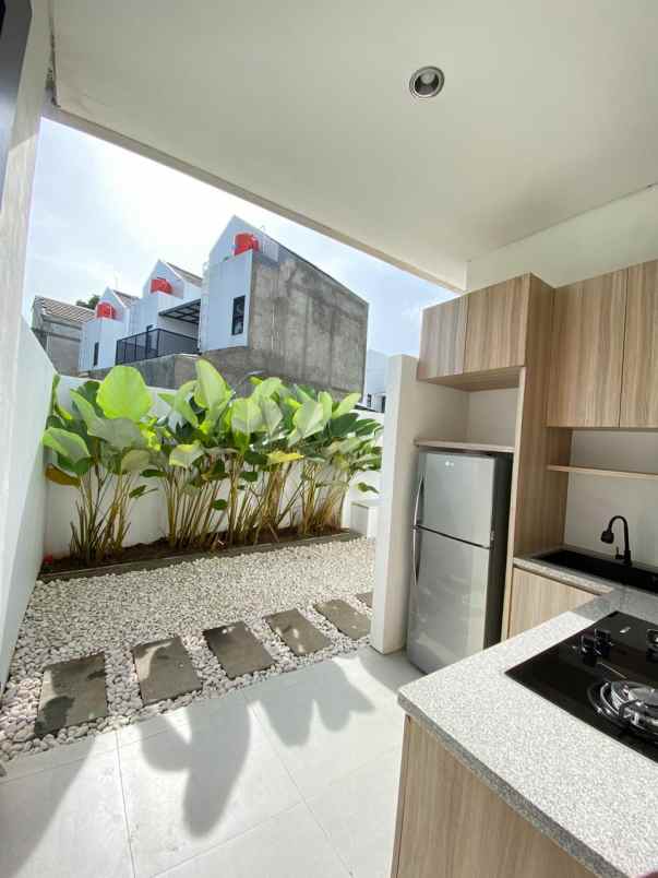 moderen minimalist with natural touch