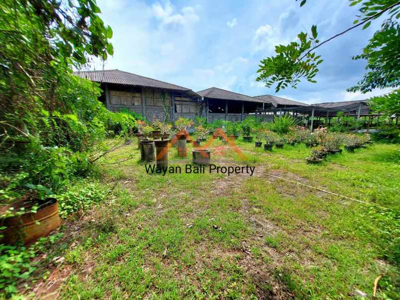 ruko gudang kantor baluk