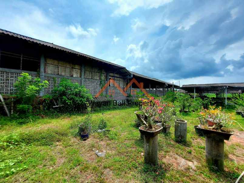 ruko gudang kantor baluk