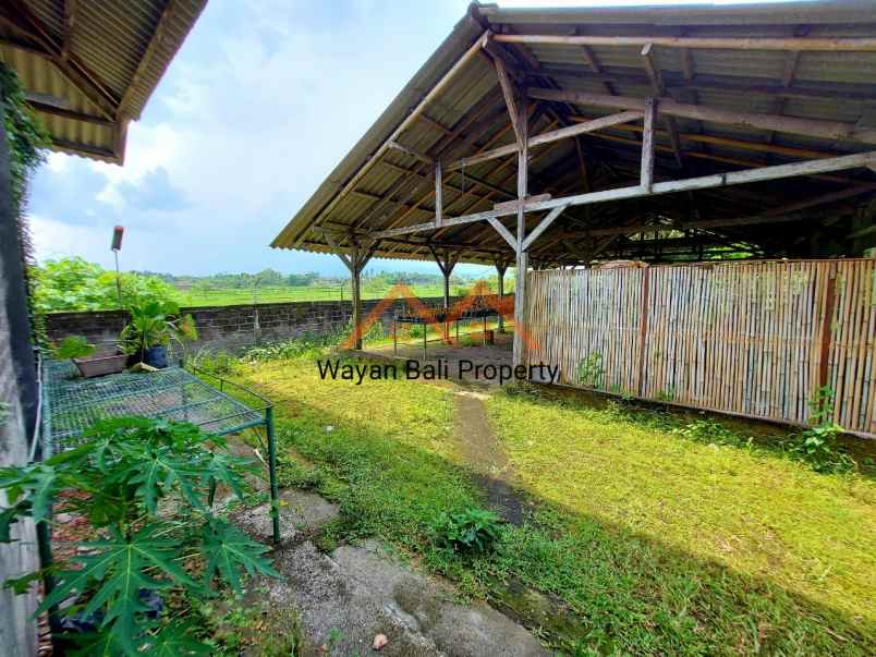 ruko gudang kantor baluk